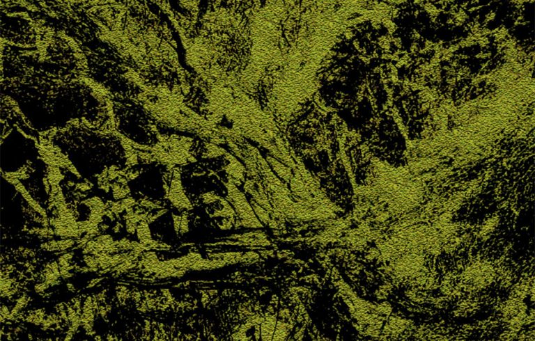 Untitled-6low-768x490